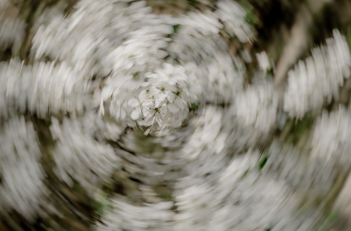 Blumen